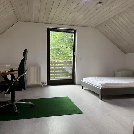 Lexuan * Passau